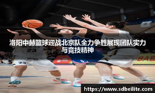 洛阳中赫篮球迎战北京队全力争胜展现团队实力与竞技精神