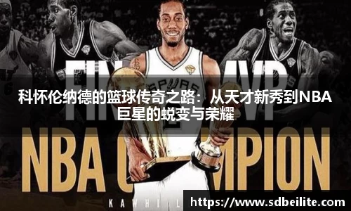 南宫NG28