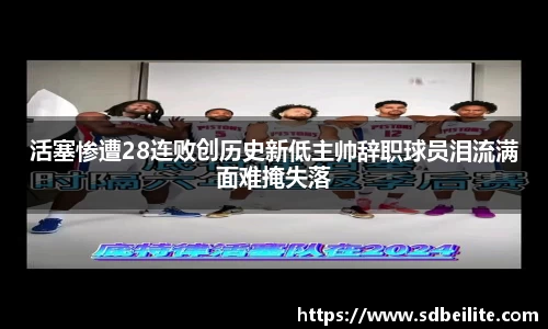 南宫NG28
