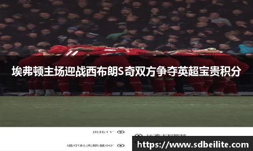 埃弗顿主场迎战西布朗S奇双方争夺英超宝贵积分