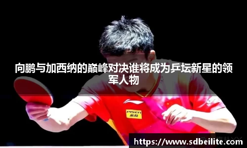 向鹏与加西纳的巅峰对决谁将成为乒坛新星的领军人物